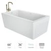 Jacuzzi Bianca 66" Free Standing Acrylic Soaking Tub with Reversible Drain and Overflow - Includes Floor Mounted Tub Filler with Hand Shower