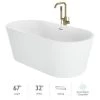 Jacuzzi Celeste 67" Free Standing Acrylic Soaking Tub with Center Drain, Drain Assembly and Overflow - Includes Floor Mounted Tub Filler with Hand Shower -Jacuzzi Sales Store jacuzzi cez6732bcxxxxg 7549554