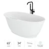 Jacuzzi Karina 65" Free Standing Resin, Stone Composite Soaking Tub with Center Drain, Drain Assembly and Overflow - Includes Floor Mounted Tub Filler with Hand Shower -Jacuzzi Sales Store jacuzzi kam6534bcxxxxg 7549554