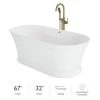 Jacuzzi Lyndsay 67" Free Standing Acrylic Soaking Tub with Center Drain, Drain Assembly and Overflow - Includes Floor Mounted Tub Filler with Hand Shower -Jacuzzi Sales Store jacuzzi ldz6731bcxxxxg 7549554